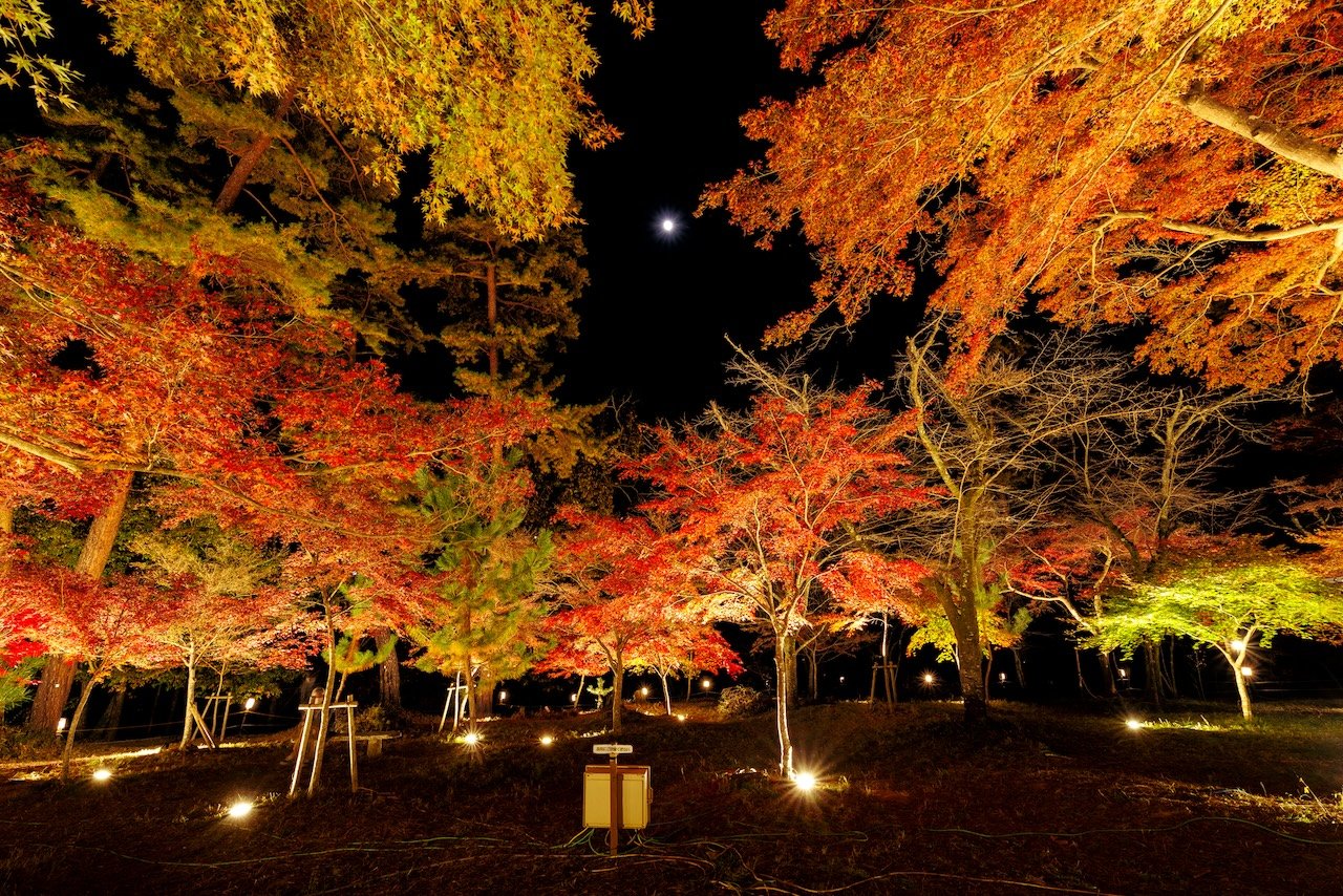 🏞️ 지치부노미야 기념 공원(지치부노미야키넨코엔) 이미지 10